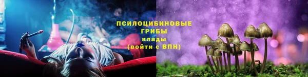 СК Остров
