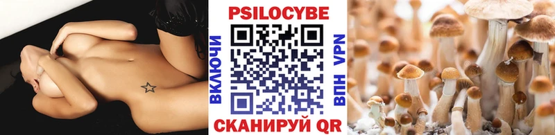 Псилоцибиновые грибы Psilocybine cubensis  Сольцы 
